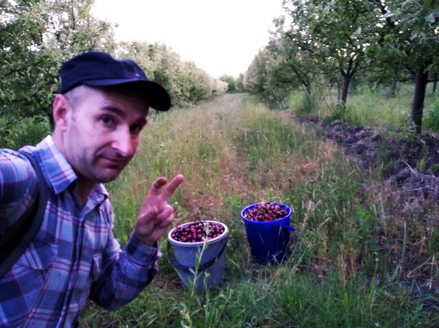 пошёл в колхозный сад на горе нарвать на компот :-)