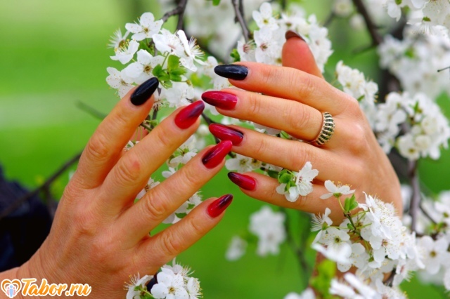 Фото - Tabor.ru