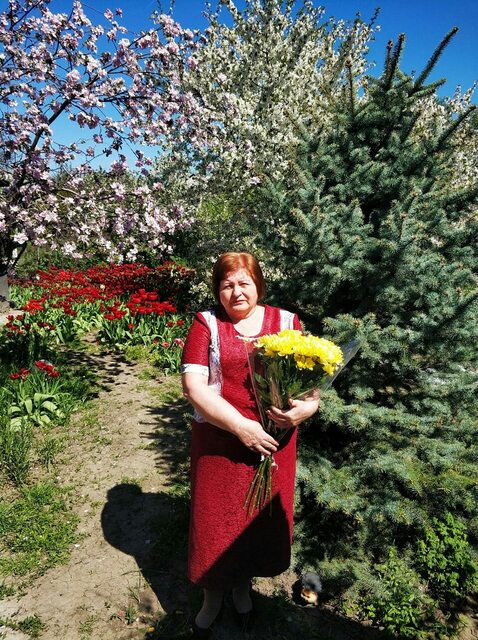Фото - Tabor.ru