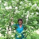 Знакомства: Людмила, 65 лет, Верхняя Пышма