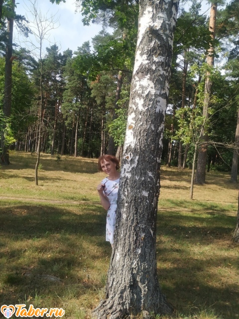 Фото - Tabor.ru