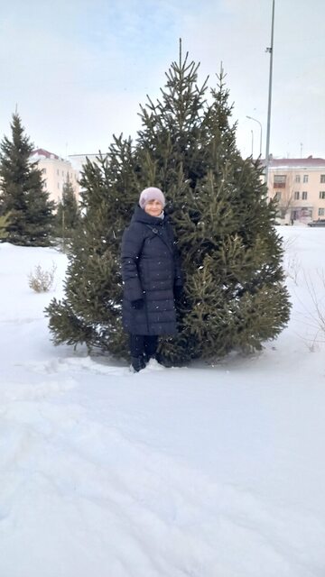 Фото - Tabor.ru